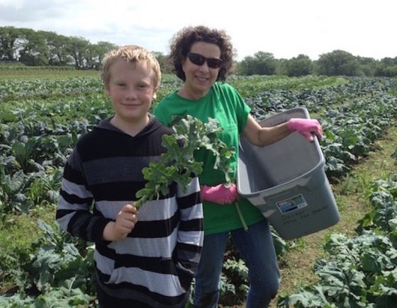 Volunteers Gleaning Volunteers Gleaning