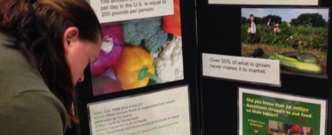 Emily Vogel, After the Harvest at Civic Connections Volunteer Fair