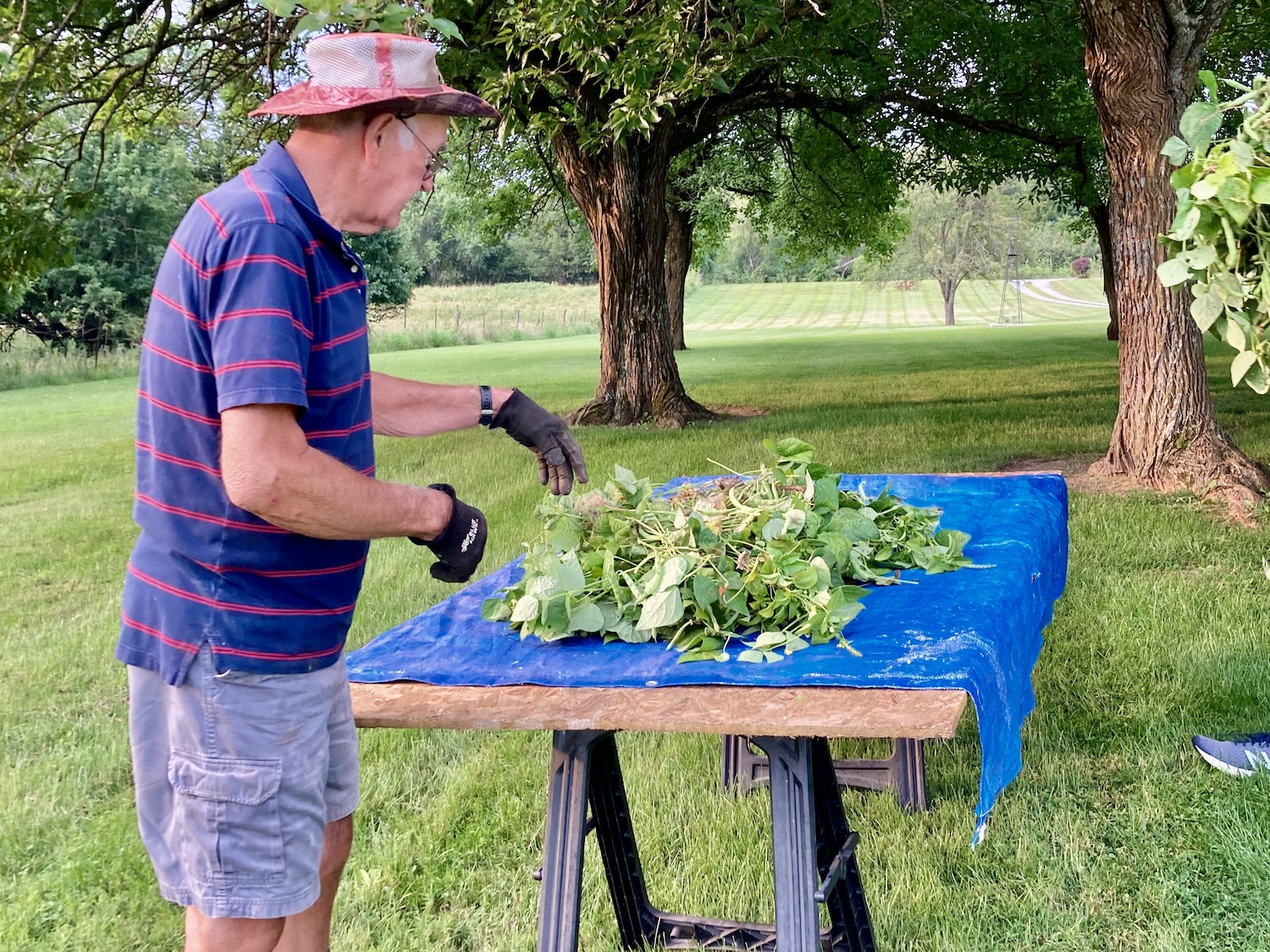 Man farming