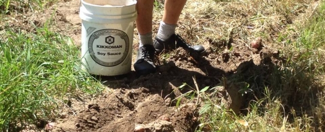 glean july 27