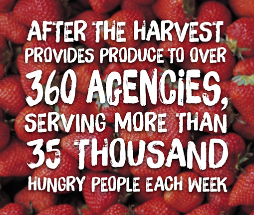 strawberry facts for ATH